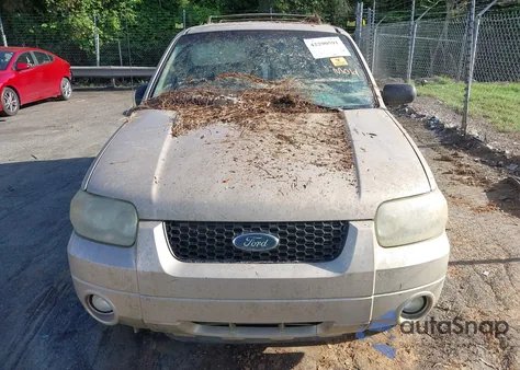 2007 Ford Escape Xlt/Xlt Sport from USA, damaged, VIN 1FMYU03187KB44496